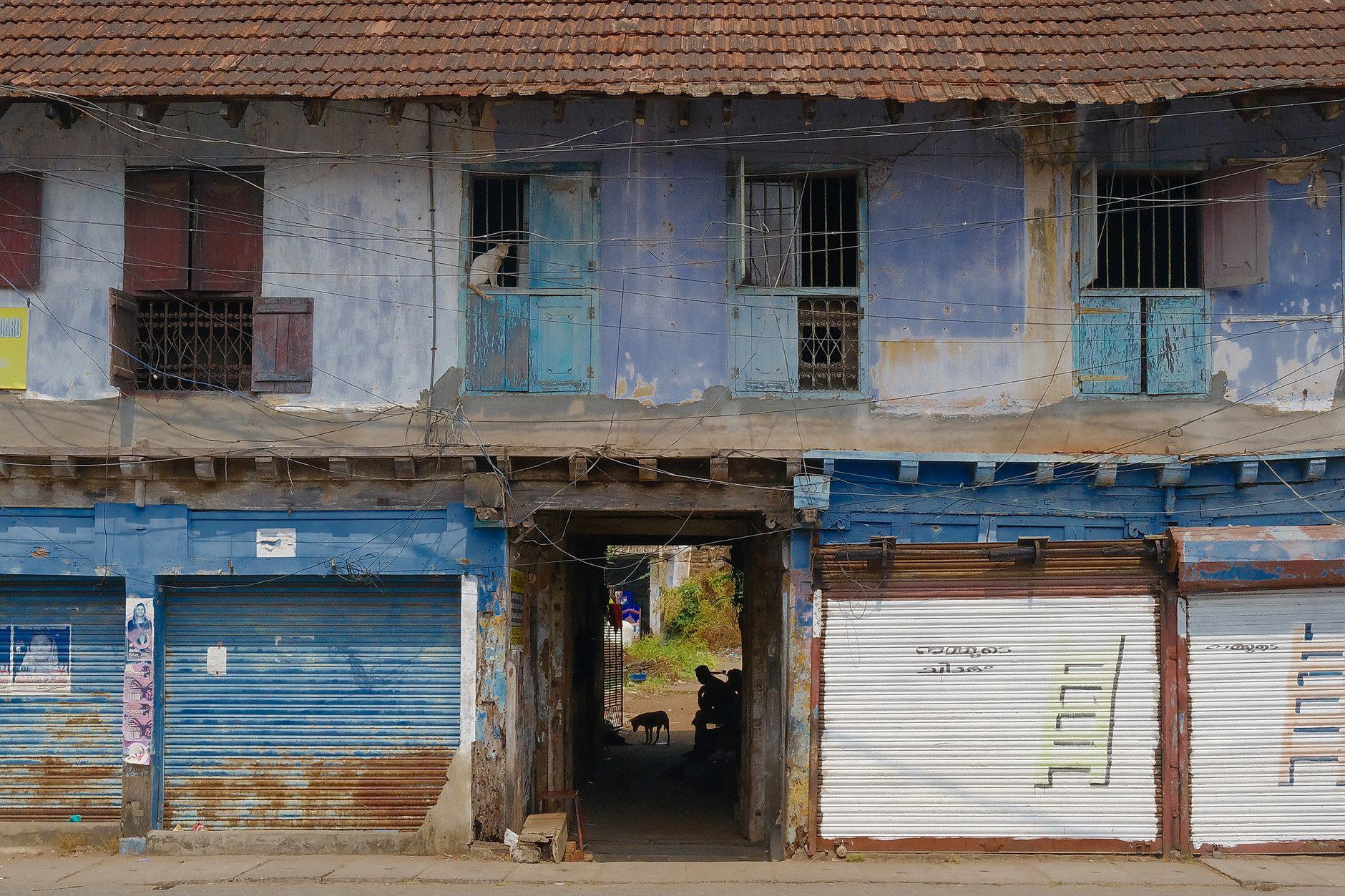 Loại hình nhà phố và shophouse tại phân khu Loại hình nhà phố và shophouse tại phân khu